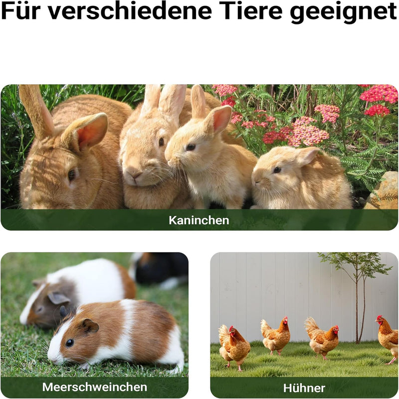 Wiltec XXL Hasenstall 1560 x 520 x 680 mm mit Freilaufgehege und erhöhtem Unterschlupf aus Fichtenho