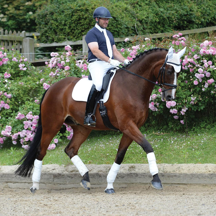 Weatherbeeta Prime Dressursattelauflage 1000745 - Kastanienbraun, Warmblut Black/Black