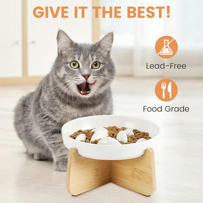 PETTOM Anti Schling Napf Katze Erhöht, Keramik Antischlingnapf Katze, Slow Feeder Katze Nassfutter,
