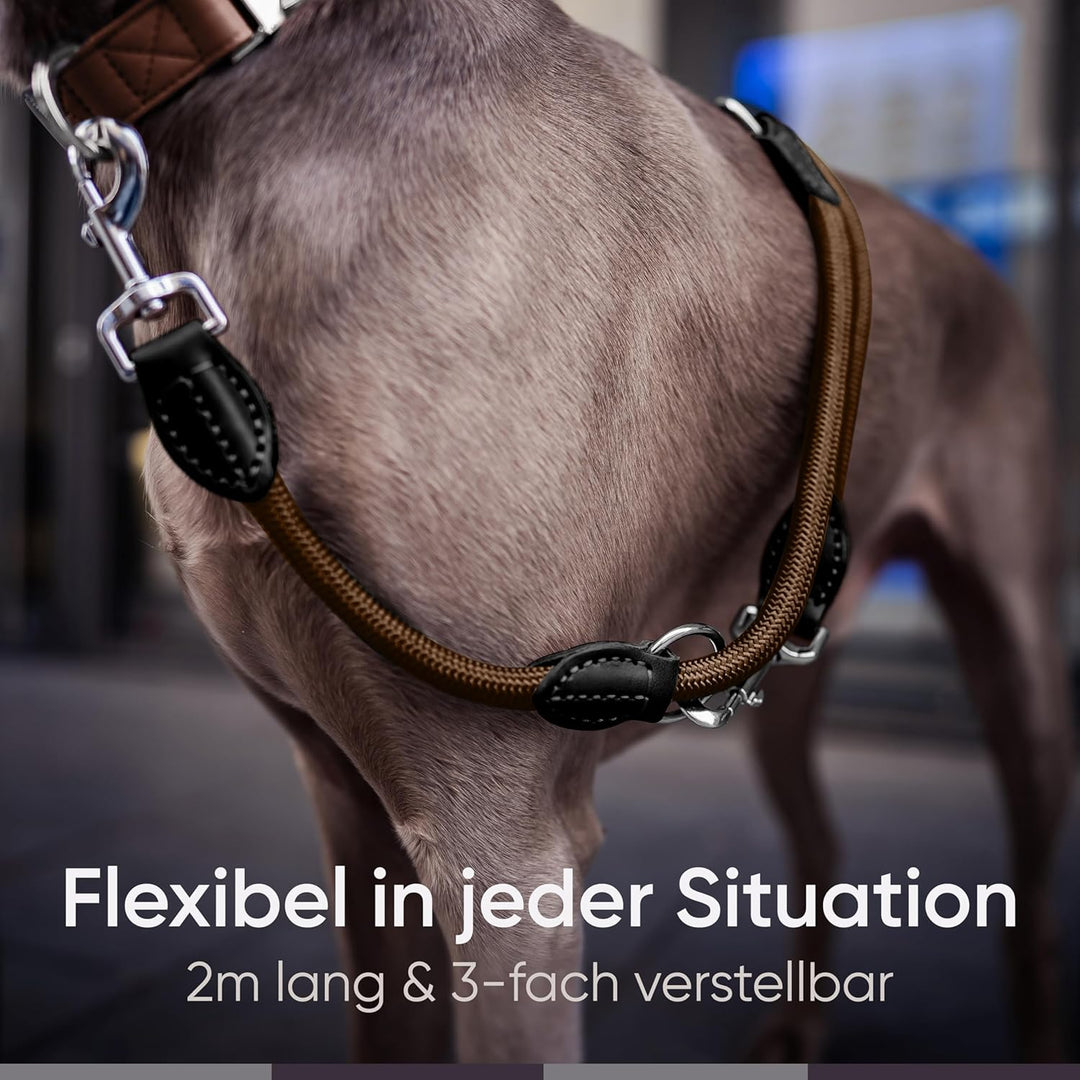 FREUDENTIER Hundeleine 2m - Führleine 3-Fach verstellbar - Robustes Nylon abgerundet mit stilvollen