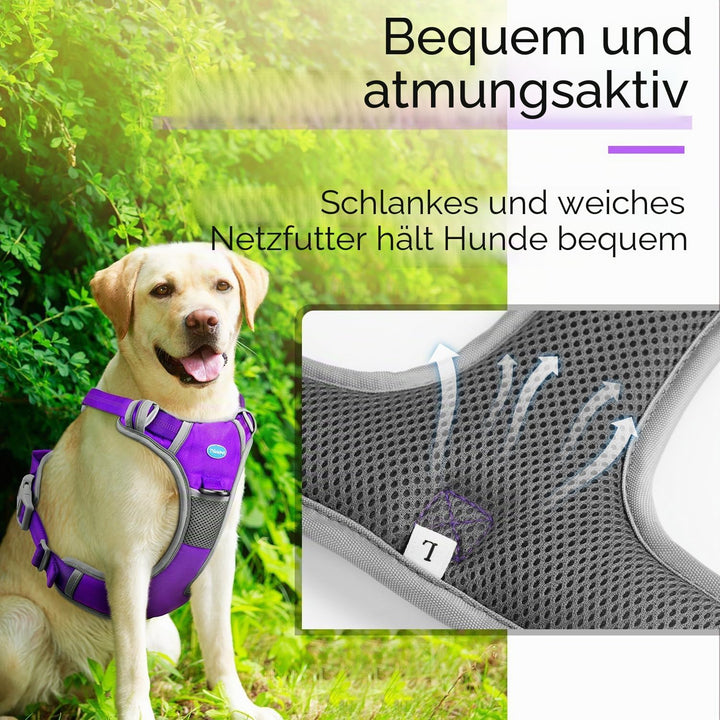 ThinkPet No-Pull Hundegeschirr, Atmungsaktiv Brustgeschirr für Kleine Mittlere Grosse Hunde, Einstel