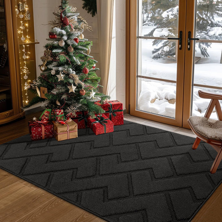 Biscpro Fussmatte Schmutzfangmatte 90x150cm Innen und Aussen, Waschbar Fussmatte, Wasserdicht Türmat