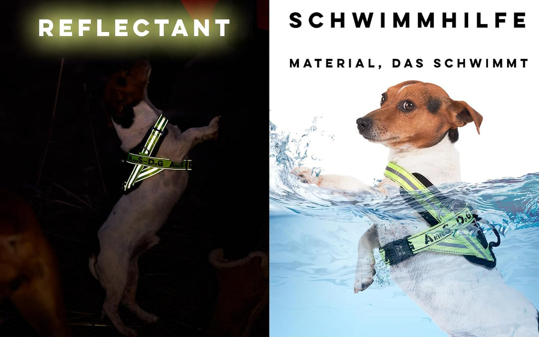 Hundegeschirr mit 3 Metallösen zur Befestigung Ihrer Brust oder Ihres Brustgurts, um Ihren Hals Nich