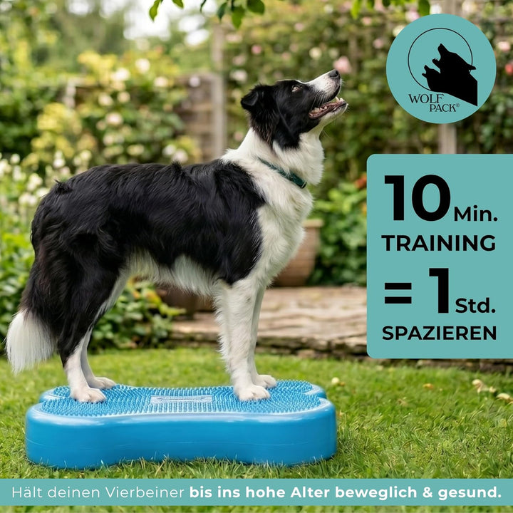 Wolfpack® Fitness Dog Bone – Balance Pad &amp; Physio Wackelkissen für kleine &amp; grosse Hunde – krallenfe