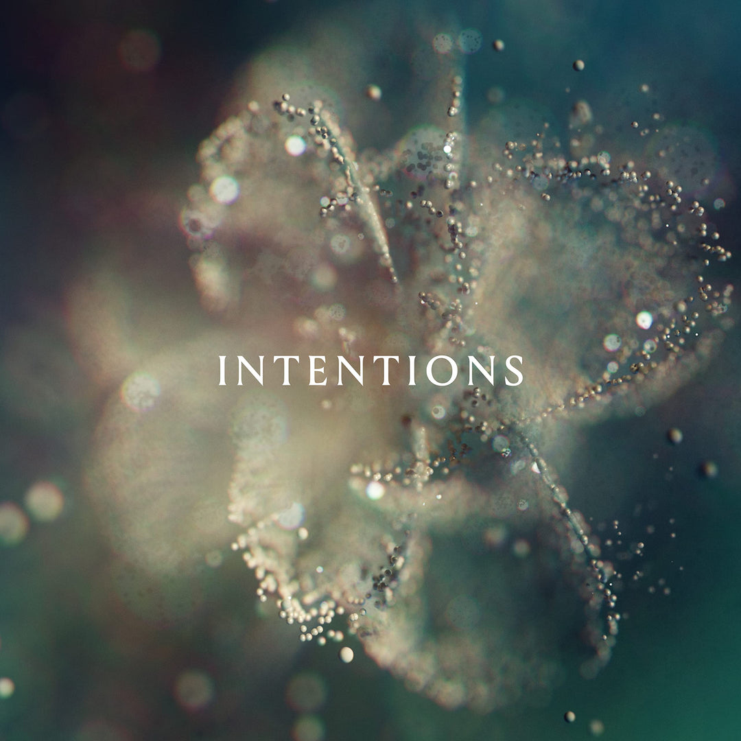 Intentions, Vinyl