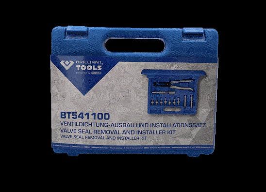 BRILLIANT TOOLS BT541100 Ventildichtung-Ausbau und Installationss atz [Powered by KS TOOLS]