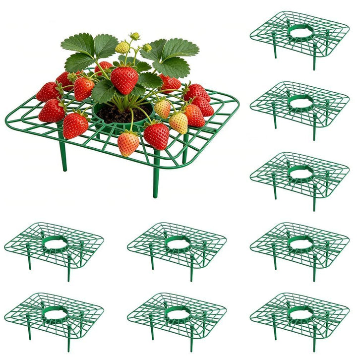 10 Stück Erdbeerstützen Ständer, Erdbeeren Schutz Quadratisch Erdbeerreifer Erdbeerregal Abnehmbares