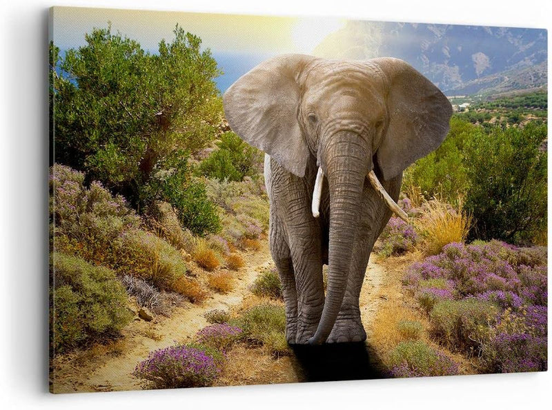 Bilder auf Leinwand 100x70cm Leinwandbild Tiere Afrika Elefanten Spaziergang Gross Wanddeko Bild Sch