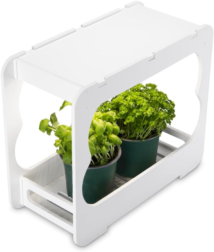 Xavax LED Smart Garden Home Gewächshaus Box klein mit Lampe für Balkon, als Anzuchtkasten für Hochbe