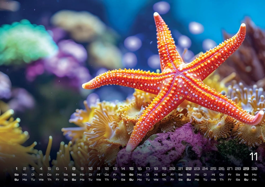 Sealife - verborgene Tiefen - 2026 - Kalender DIN A2: Der Wandkalender mit den schönsten Unterwasser