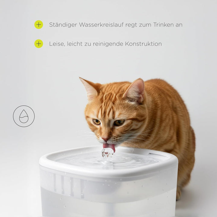Feast Automatischer Futterautomat Katze mit App und Kamera, Live-Video mit Nachtsicht und Zwei-Wege-