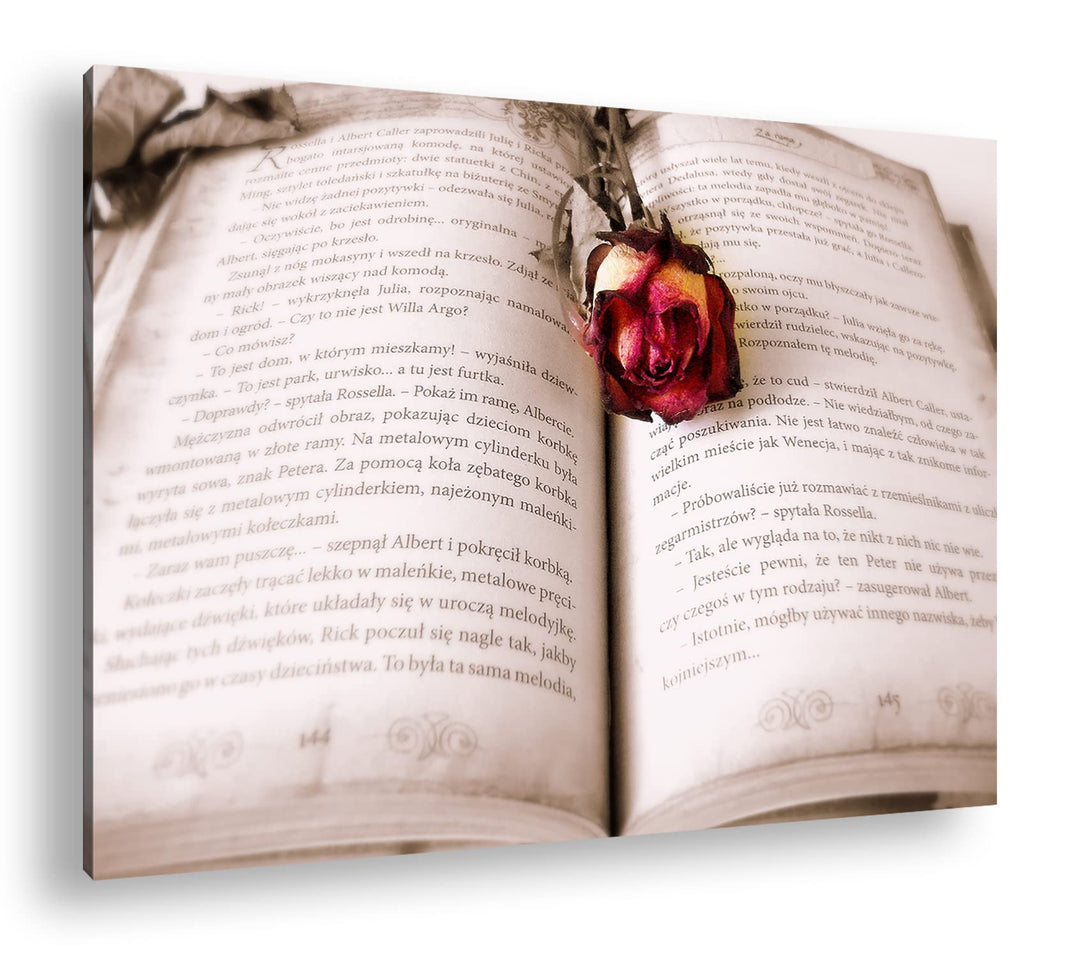 deyoli altes Buch mit roter Rose im Format: 80x60 als Leinwandbild, Motiv fertig gerahmt auf Echthol