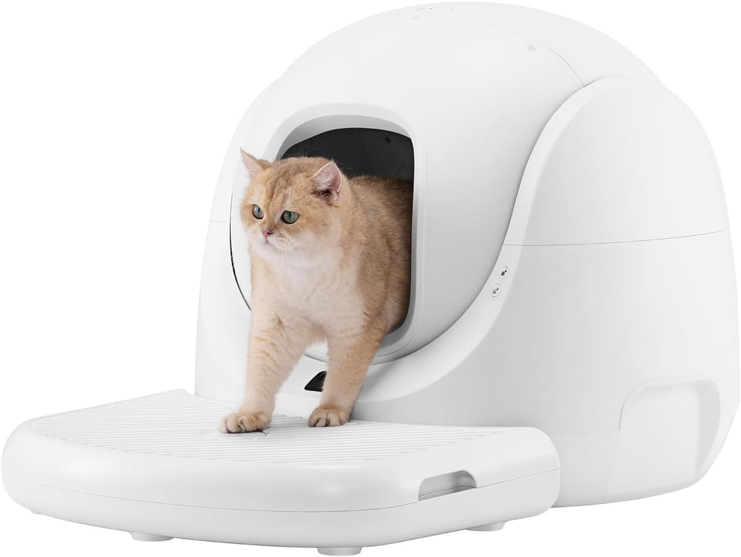 Catlink Baymax selbstreinigende Treppe zur Katzentoilette, Einfacher Zugang für ältere Katzen, Hält