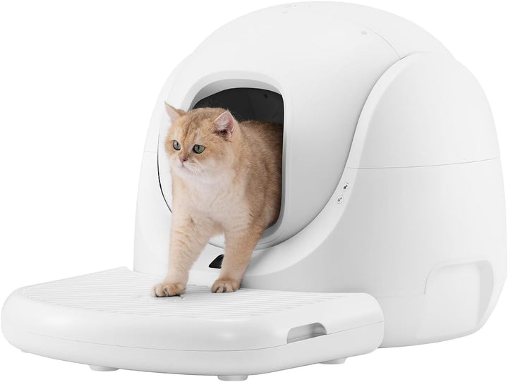 Catlink Baymax selbstreinigende Treppe zur Katzentoilette, Einfacher Zugang für ältere Katzen, Hält