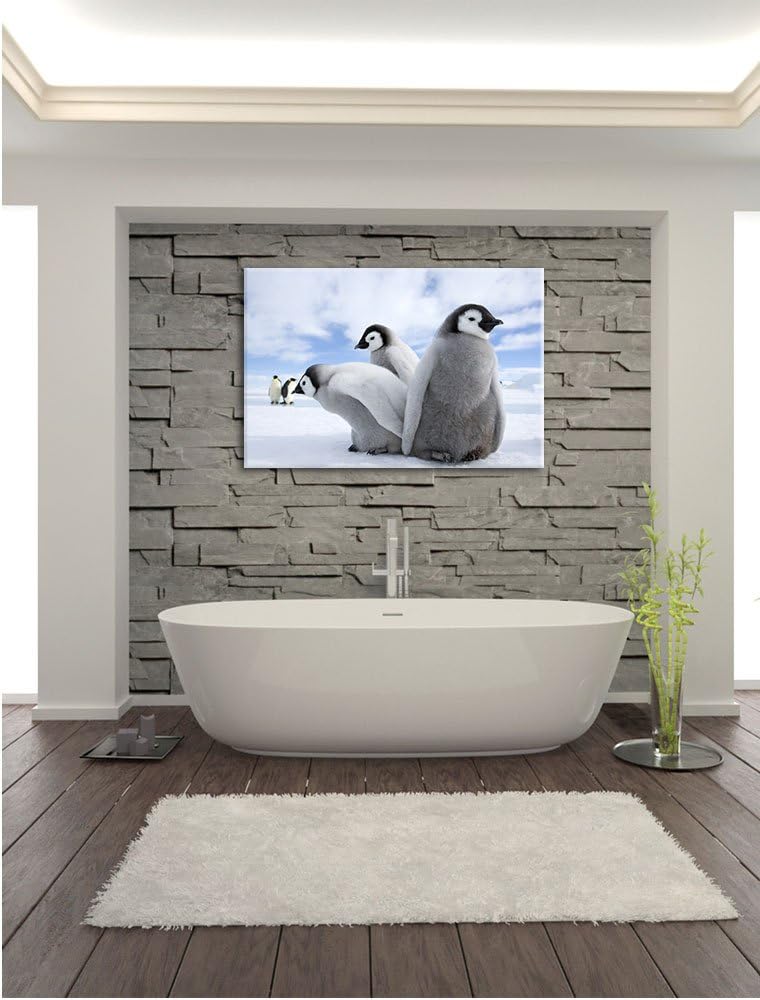 Pixxprint Kaiserpinguin Gruppe / 100x70cm Leinwandbild bespannt auf Holzrahmen/Wandbild Kunstdruck D