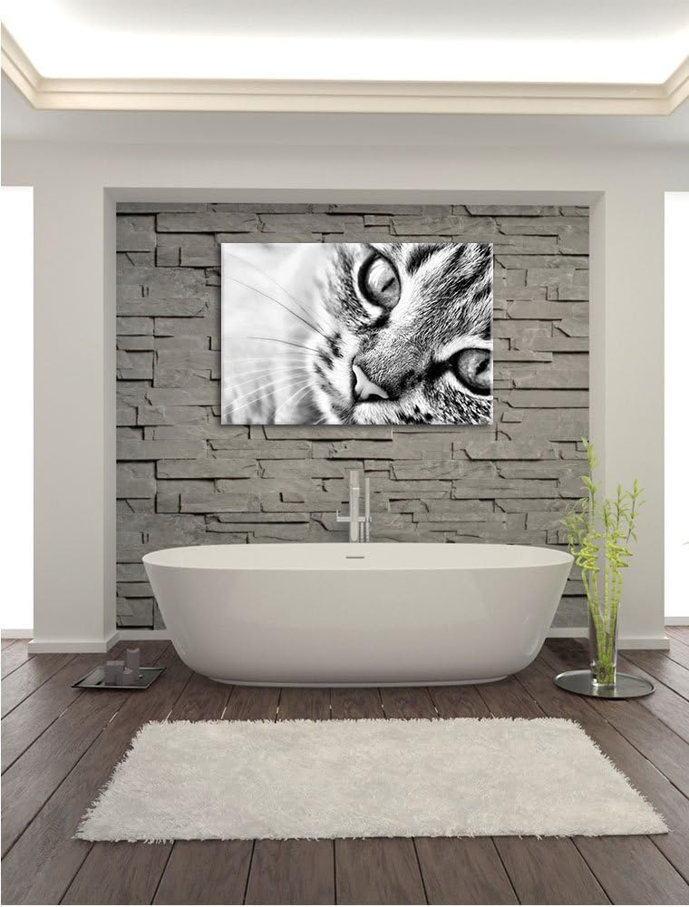 Pixxprint Grosse Katzenaugen / 100x70cm Leinwandbild bespannt auf Holzrahmen/Wandbild Kunstdruck Dek