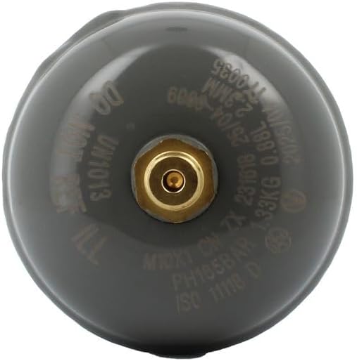 Co2 Einweg Zylinder Vorratsflasche mit 600 gr Füllung E290 Kohlesäure Gewinde M11x1 für Wassersprudl