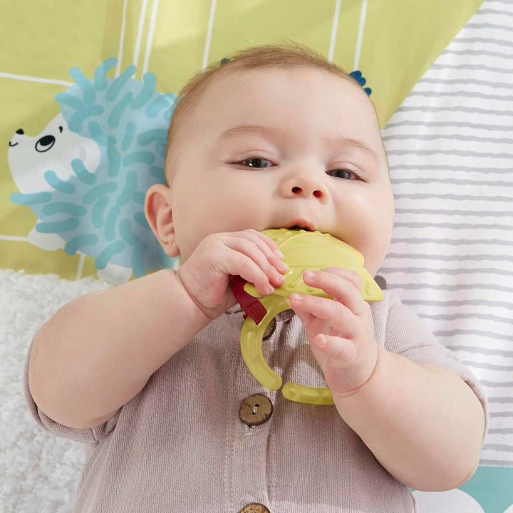 Fisher-Price GKD45 - 5 Sinnes Baby Spieldecke, kuschelig weiche Krabbeldecke mit Sensorik Spielzeug,