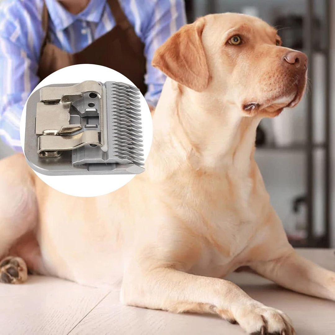 Schermesser für Hunde, Fellpflege-Schermesser, Grösse 7F, Präzise Austauschbar, Voll Kompatibel, Tie