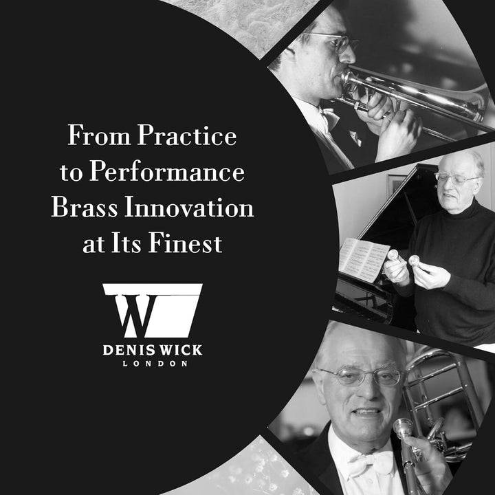 DW5524 Straight-Dämpfer für Waldhorn von Denis Wick, silber Gerade, Gerade