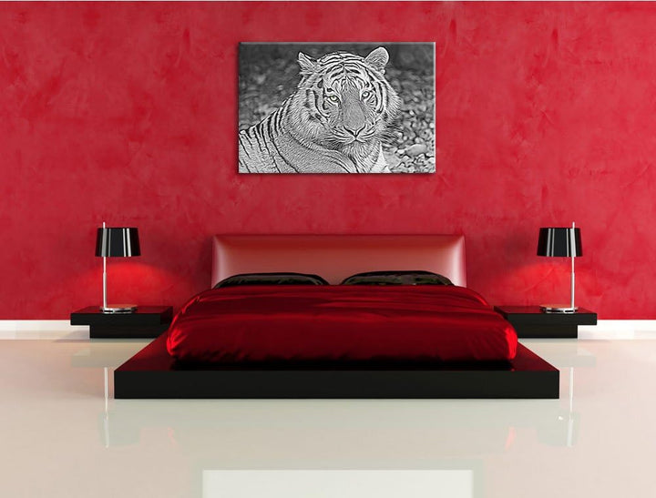 schöner prächtiger Tiger schwarz/weiss Deluxe Format: 100x70 cm auf Leinwand, XXL riesige Bilder fer