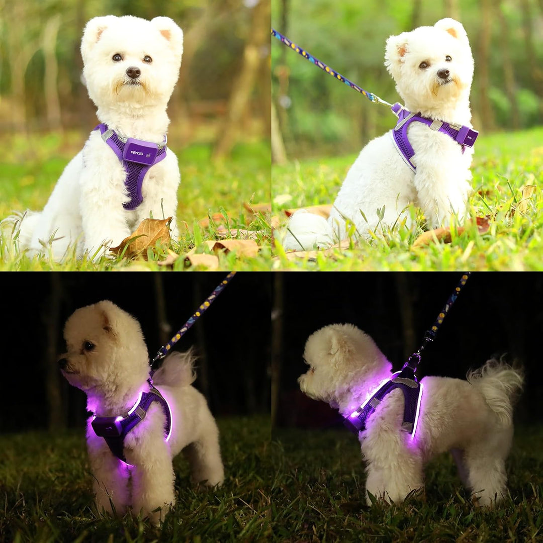 Leuchtend Hundegeschirr LED Aufladbar - Leuchtgeschirr Leuchtendes &amp; Reflektierendes für Welpe Klein
