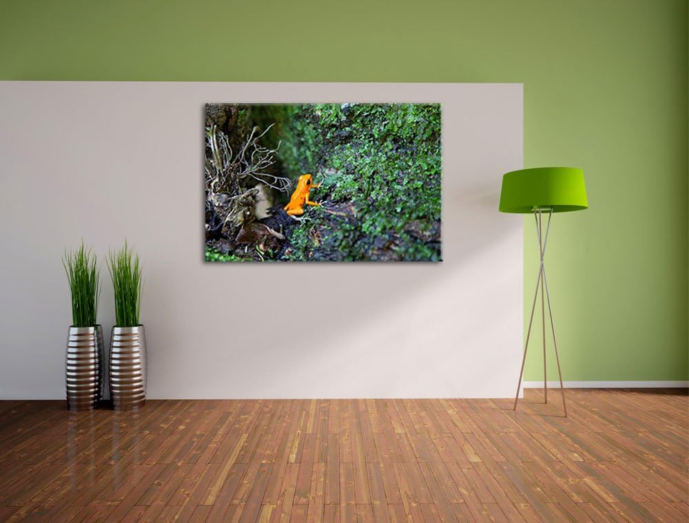 hochgiftiger kleiner Frosch Leinwand, XXL riesige Bilder fertig gerahmt mit Keilrahmen, Kunstdruck a