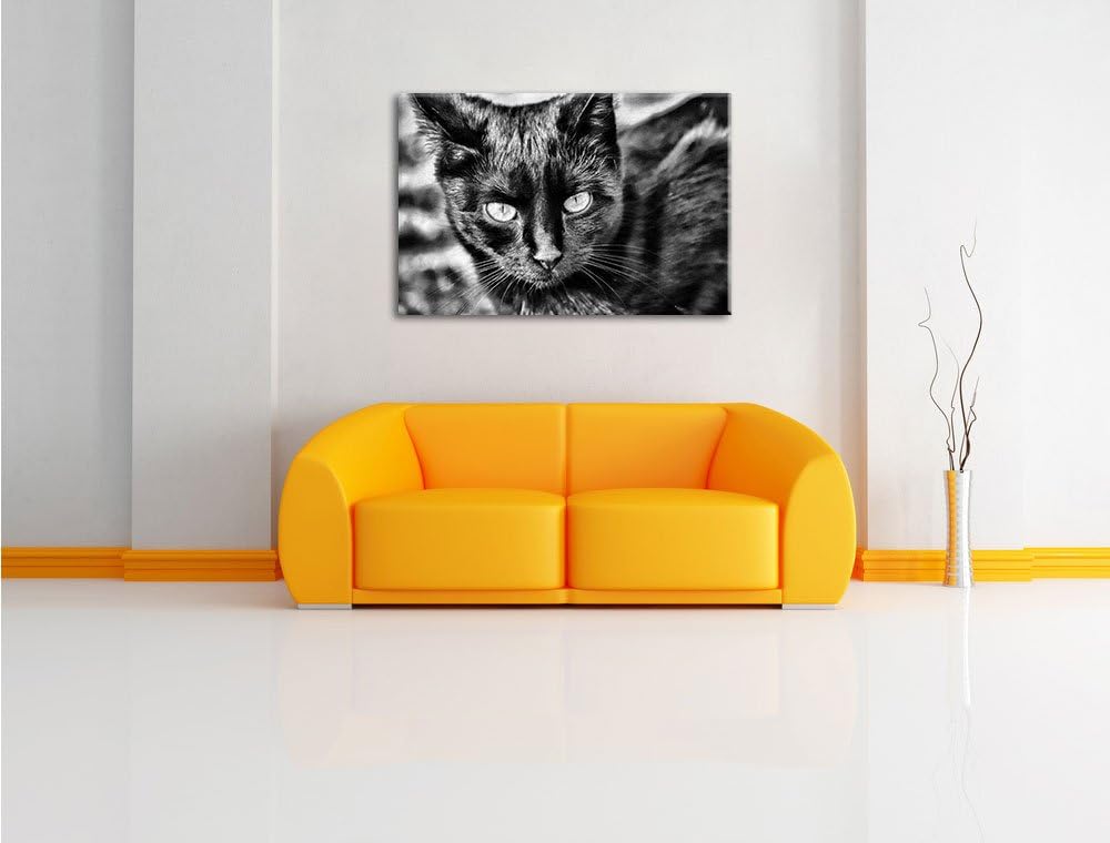 Monocrome, schwarze Katze, Format: 100x70 auf Leinwand, XXL riesige Bilder fertig gerahmt mit Keilra