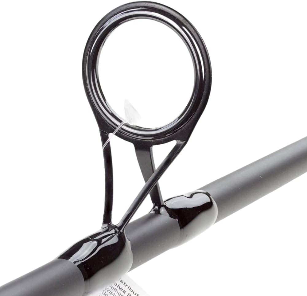 DAIWA Karpfenangelrute Black Widow Carp