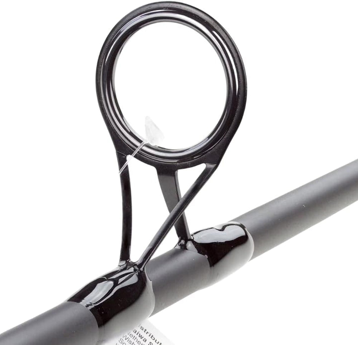 DAIWA Karpfenangelrute Black Widow Carp