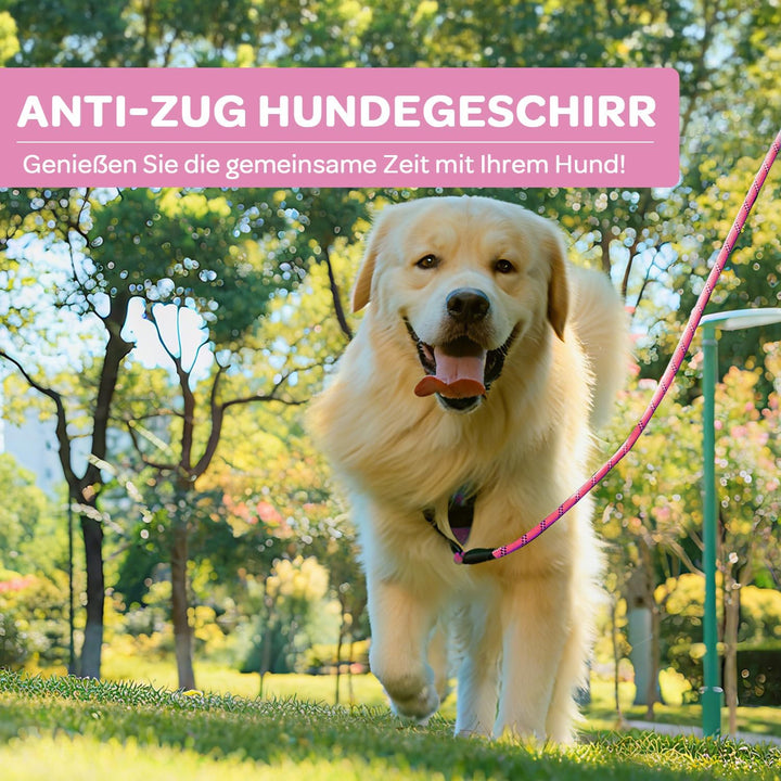 FURRYFECTION Anti Zug Hundegeschirr, Brustgeschirr kleine Hunde Sicherheitsgeschirr Welpen, Antizugg