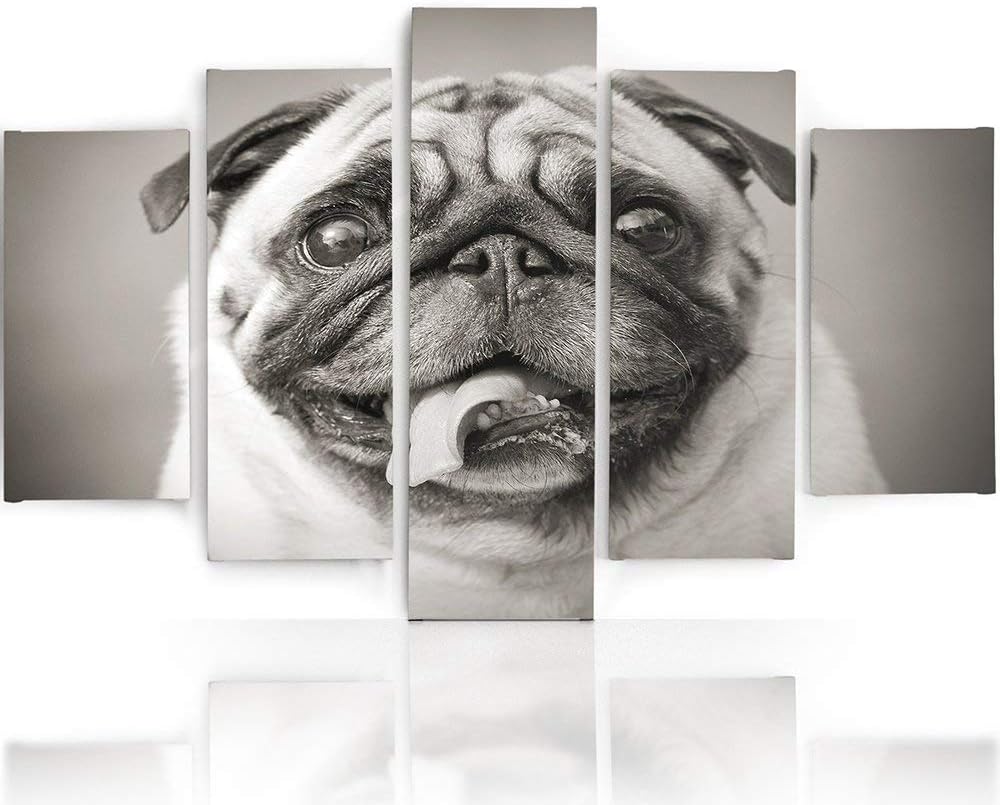 Feeby. Leinwandbild - 5 Teile - Bilder, Wand Bild, Wandbilder, Kunstdruck XXL, 5-Teilig, Typ A, 100x