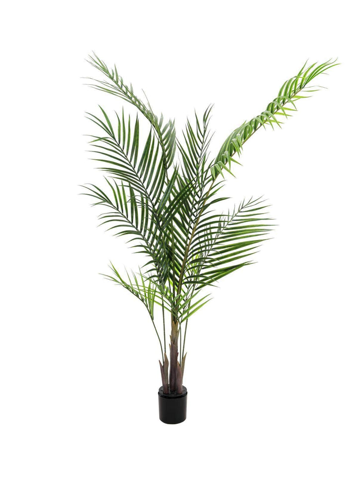 artplants.de Deko Grossblatt Arecapalme, 165cm, wetterfest - Kunstpalme - Künstliche Areca Palme