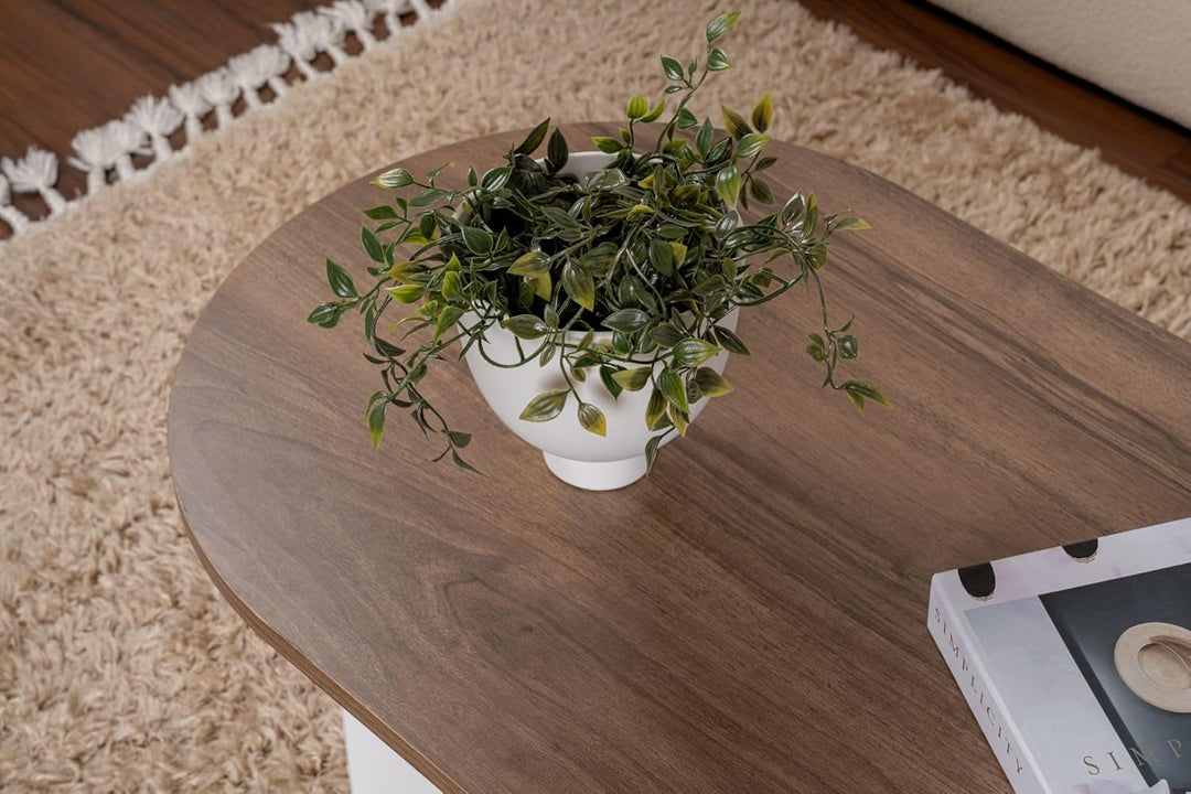 Stylish Coffee Table, Walnut & White, 119 x 39.8 x 60 cm | 100% Melamine Coated Particle Board, 18 m