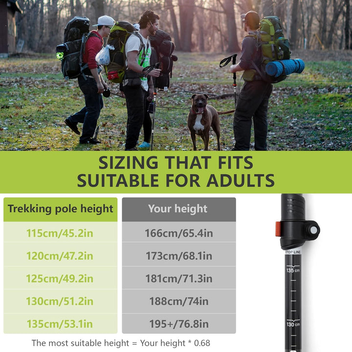 BISINNA Carbon Nordic Walking Stöcke Wanderstöcke ultraleichte 249g verstellbar 35-135cm Trekkingstö