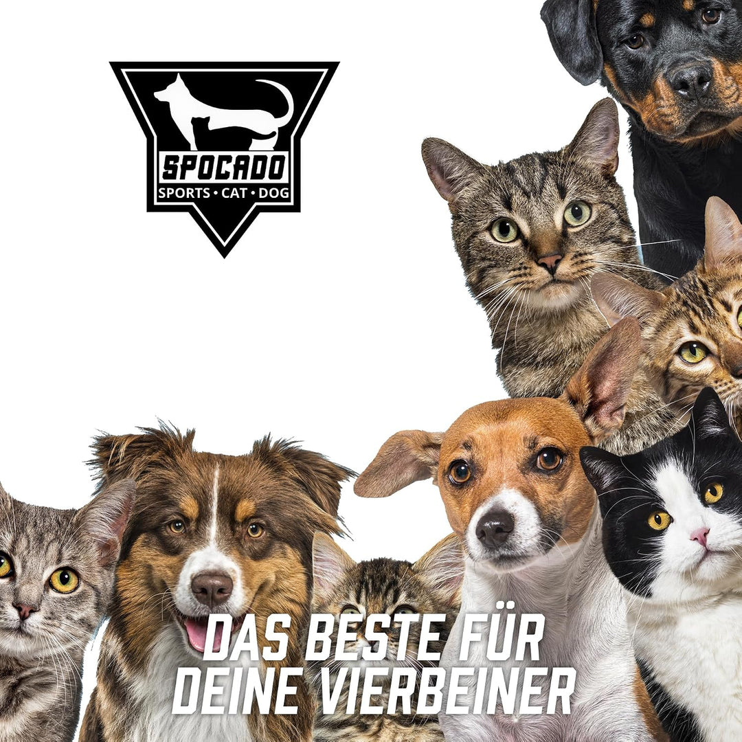 Albion Haustiertreppe | 3-stufige Hundetreppe mit Plüschbezug | Katzentreppe für Sofa, Bett &amp; Auto |