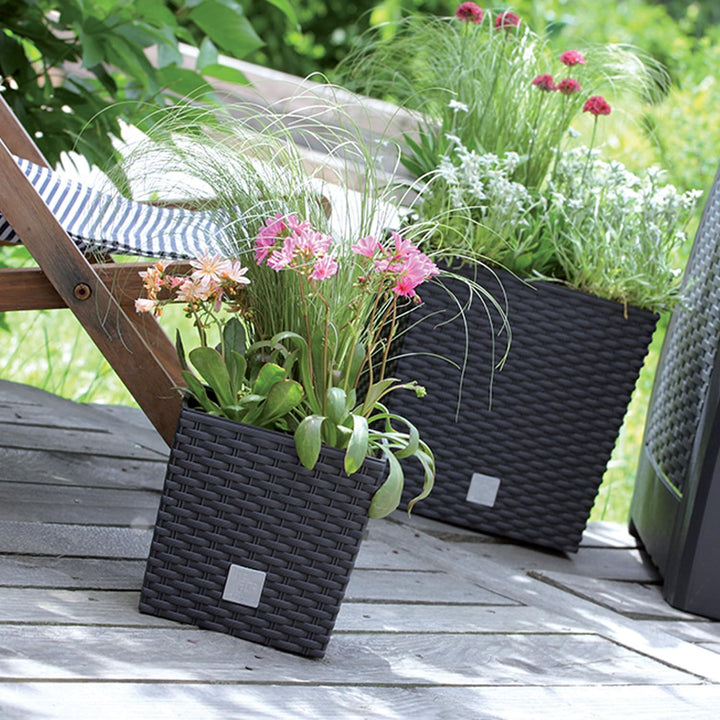 Prosperplast Blumentopf in Rattan-Optik Pflanzkübel mit Einsatz | anthrazit | wetterfest &amp; UV-bestän