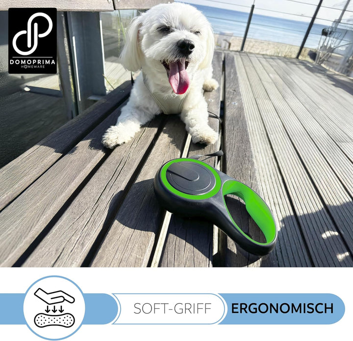 DOMOPRIMA Rollleine für Hunde, in 3 Grössen (S,M,L) und 4 Farben (grau, blau, grün, pink) -Robuste u