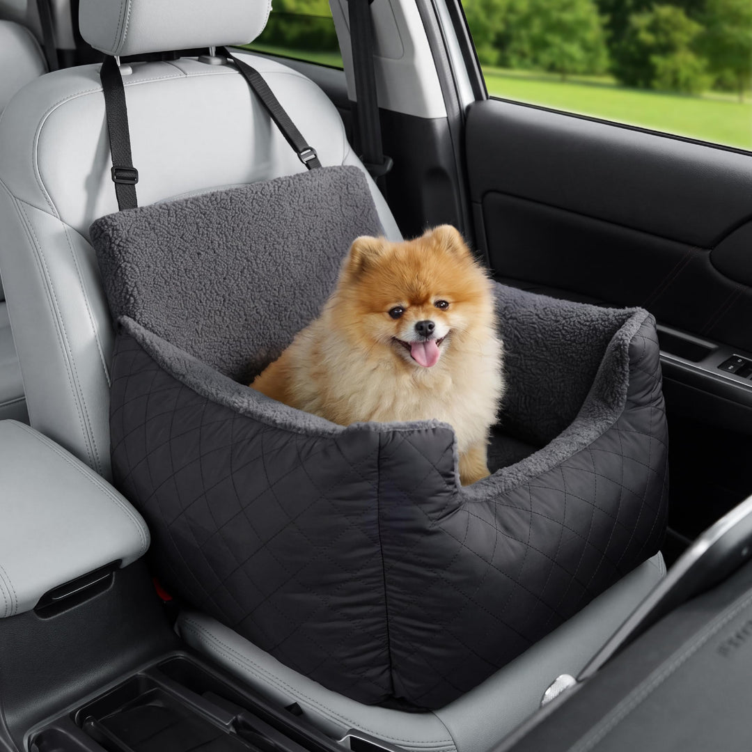 Lesure Hundesitz Auto Kleine Hunde - Wasserdichter Hundesitz Auto Rückbank, Hunde Autositz Für Klein
