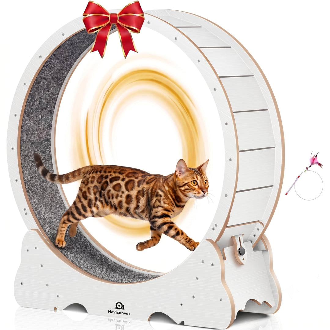 Katzenlaufrad XXL Durchmesser 135cm Gross laufrad Katze Super Leise Katzen Laufrad mit abnehmbarem T