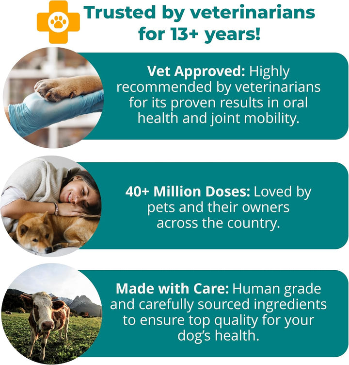 1-TDC Dual Action Periodontal & Joint Support for Dogs & Cats | 120 Twist Off Softgels by Elite Scie