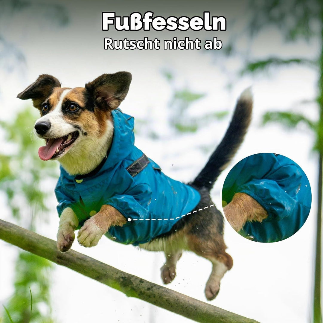 JoyDaog Regenmantel für kleine Hunde mit Kapuze, wasserdichte Outdoor-Regenjacke für Hunde, Welpen-R