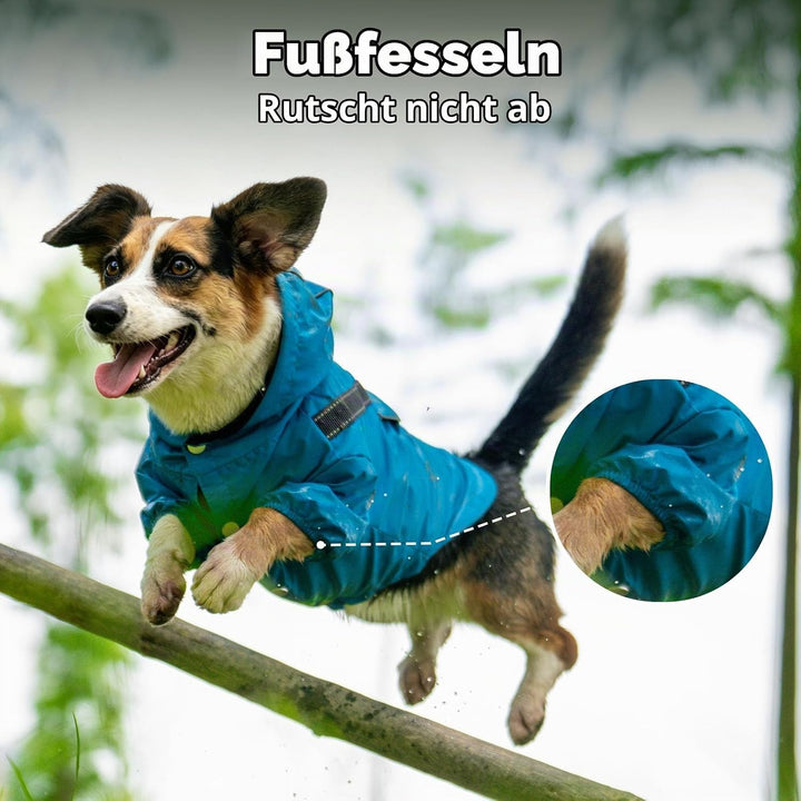 JoyDaog Regenmantel für kleine Hunde mit Kapuze, wasserdichte Outdoor-Regenjacke für Hunde, Welpen-R