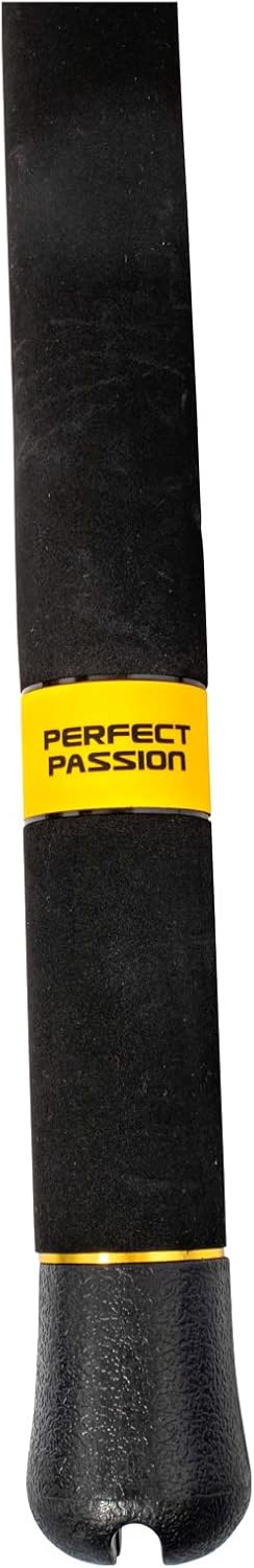 Black Cat Premium Welsrute Perfect Passion XH-S Angelrute vielseitig Einsetzbar mit IM6 Blank Wels A