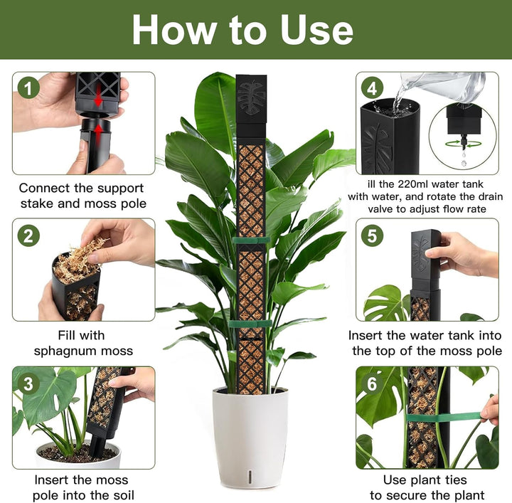 Moosstab für Monstera Rankhilfe Zimmerpflanzen, 4 PCS 25cm Selbstbewässerung moosstab, Monstera Pfla