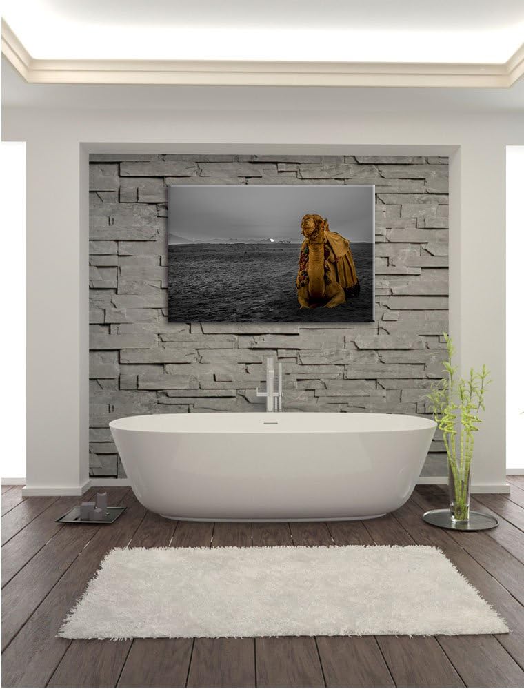 Pixxprint Kamel in Wüste bei Sonnenaufgang als Leinwandbild/Grösse: 100x70 cm/Wandbild/Kunstdruck/fe