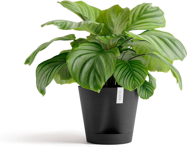 ECOPOTS Blumentopf Venice 2 mit Bewässerung Dunkel Grau - Durchmesser Ø 20 cm rund gross - Pflanzent