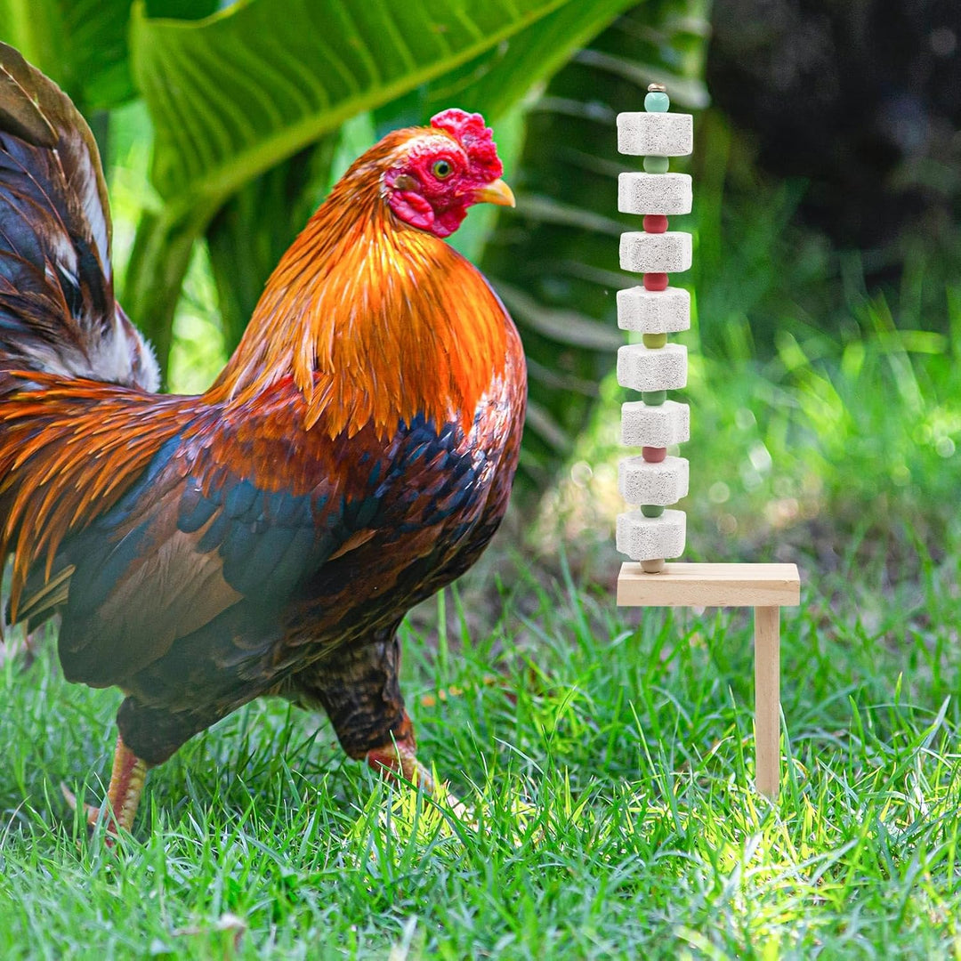 Dnoifne 2 Pack Hühnerkauspielzeug, Kükenschnabel Schleifen Kalziumstein mit Holzpfahl, Hühnerkäfig Z
