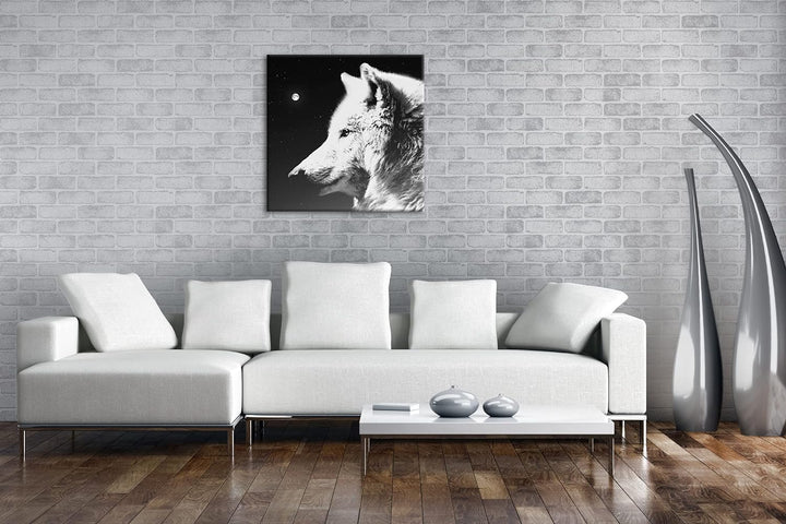 einsamer stolzer Wolf Format: 60x60 Effekt: Schwarz&Weiss als Leinwandbild, Motiv fertig gerahmt auf