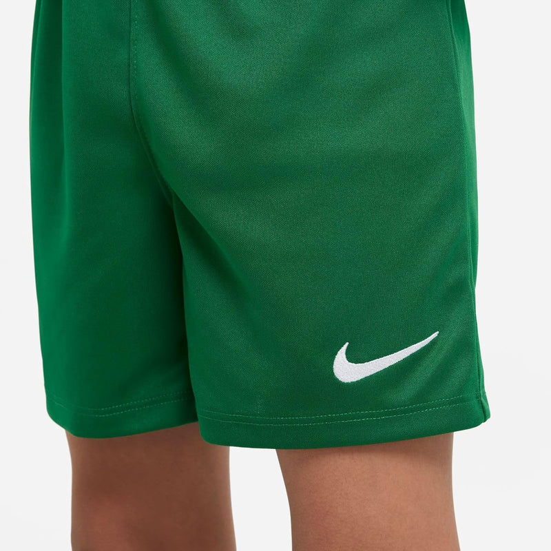 Nike Kinder Dry Park 20 Trikot Set, Pine Green/Pine Green/White, M